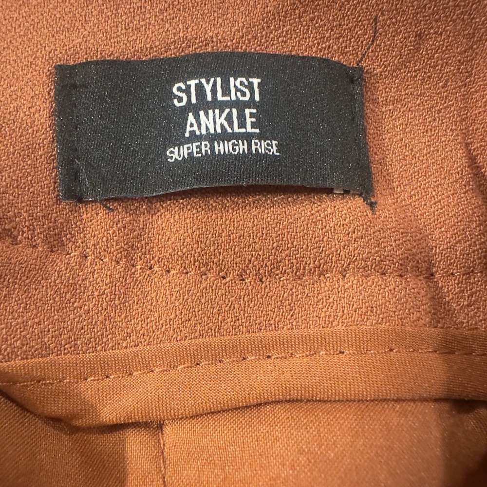 Express Terracotta Pleated Trousers | Women's Size 2 | High-Waist Dress Pants - Picture 6 of 6